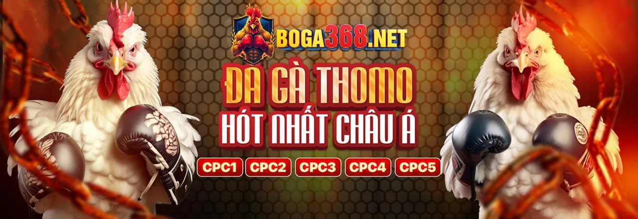 Sàn đá gà trực tuyến f168 okvip